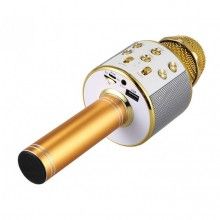 Microfon karaoke SIKS® profesional cu boxa inclusa, SD Card, USB, AUX, Gold