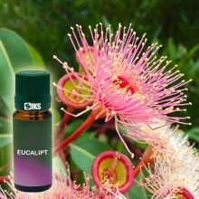 Ulei aromaterapie SIKS® ulei parfumat cu aroma de Eucalipt, 10 ml