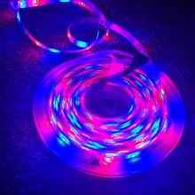 Banda LED SIKS, Lumina Ambientala, Control prin Telecomanda, IP65, 12V, Lumini RGB, 10m Banda LED SIKS, Lumina Ambientala, Control prin Telecomanda, IP65, 12V, Lumini RGB, 10m