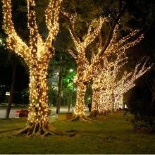 Instalatie LED Liniara SIKS , cu 300 de LED -uri , 20 m lungime, fir verde inchis, Alb Cald Instalatie LED Liniara SIKS , cu 300 de LED -uri , 20 m lungime, fir verde inchis, Alb Cald