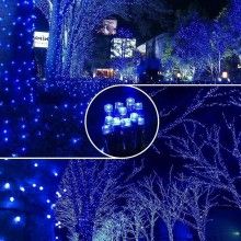 Instalatie LED Liniara SIKS, cu 300 de LED -uri , 20 m lungime, fir verde inchis, Albastru