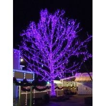 Instalatie LED Liniara SIKS , cu 300 de LED -uri , 20 m lungime, fir verde inchis, Mov