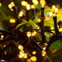Instalatie LED Liniara EDAR, 7 metri, cu 100 de LED -uri, fir verde inchis, Alb cald
