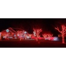 Instalatie De Craciun LED EDAR, Liniara Interior/Exterior, Cu 8 Jocuri de lumini, Rola 24m, 300 De Becuri, Rosu