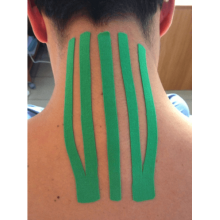 Banda Kinesiologica EDAR pentru suportul muschilor, pentru sportivi si atleti, verde Banda Kinesiologica EDAR pentru suportul muschilor, pentru sportivi si atleti, verde