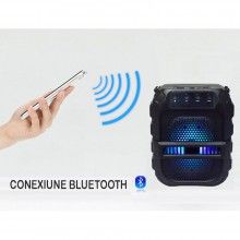Boxa Bluetooth SIKS cu Acumulator, 6.5 Inch, Radio FM, Suport MP3, USB si Card TF, GTS1191, Negru