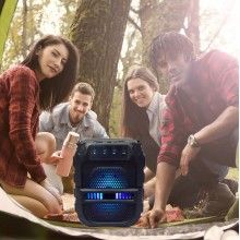 Boxa Bluetooth SIKS cu Acumulator, 6.5 Inch, Radio FM, Suport MP3, USB si Card TF, GTS1191, Negru