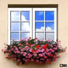 Folie Reflexiva SIKS Pentru Geamuri Interioare, Cu Efect De Oglinda, Protectie Solara UV, 45x300cm, Gri / Negru Folie Reflexiva SIKS Pentru Geamuri Interioare, Cu Efect De Oglinda, Protectie Solara UV, 45x300cm, Gri / Negru