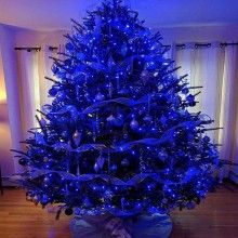 Instalatie De Craciun Liniara SIKS, 22 M, 320 LED -uri, Cu 8 jocuri de lumini, Pentru Exterior/Interior, Fir Negru, Albastru Instalatie De Craciun Liniara SIKS, 22 M, 320 LED -uri, Cu 8 jocuri de lumini, Pentru Exterior/Interior, Fir Negru, Albastru