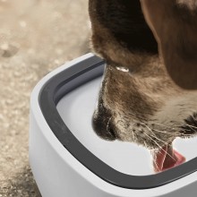 Bol Apa Cu Suspensie SIKS Pentru Caini Si Pisici Cu Functie Antistropire, Rama Flotanta, Sistem Antialunecare, Adapator 1.5 L... Bol Apa Cu Suspensie SIKS Pentru Caini Si Pisici Cu Functie Antistropire, Rama Flotanta, Sistem Antialunecare, Adapator 1.5 L...