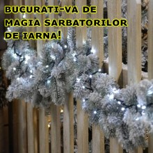 Instalatie De Craciun Cu Alimentare Solara EDAR, Ideala Pentru Exterior, Rezistenta La Conditii Meteo Instabile, Jocuri De Lu...