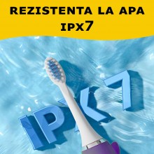 Periuta De Dinti Electrica SIKS Pentru Copii, 1 Treapta Intensitate, Peri Moi, Rezistenta La Apa, Model Unicorn, Cu Baterie, Mov Periuta De Dinti Electrica SIKS Pentru Copii, 1 Treapta Intensitate, Peri Moi, Rezistenta La Apa, Model Unicorn, Cu Baterie, Mov