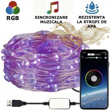 Instalatie De Craciun Smart EDAR, Multicolora, Control Din Aplicatie Telefon, Reglare Luminozitate, Mod De Lumina, Culoare, A...