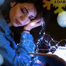 Ghirlanda LED Cu Incarcare Solara EDAR, Flexibila, Panou Solar Cu Fixare In Pamant, 8 Moduri De Lumina, 12 Metri, 100 Leduri,...