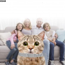 Zgarda Antiparazitara EDAR Pe Baza de Uleiuri din Plante, Fara Alergeni, Pentru Animale De Companie, Caini De Talie Mica Si P...