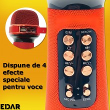 Microfon Wireless EDAR Karaoke, Stereo, 4 Efecte De Voce, Acumulator, Boxa Integrata, Radio Inclus, Multifunctional, TF Card,...