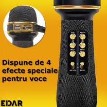 Microfon Wireless EDAR Karaoke, Stereo, 4 Efecte De Voce, Acumulator, Boxa Integrata, Radio Inclus, Multifunctional, TF Card,...