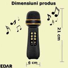 Microfon Wireless EDAR Karaoke, Stereo, 4 Efecte De Voce, Acumulator, Boxa Integrata, Radio Inclus, Multifunctional, TF Card,...
