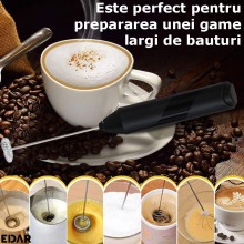Spumator De Lapte EDAR, Functionare Pe Baterii, Varf Spiralat Din Inox, Suport, Negru