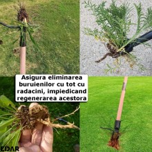 Instrument EDAR Pentru Eliminarea Buruienilor, Unealta De Gradina Pentru Plivit Si Extragerea Radacinilor, Cap Special Cu Ghe...