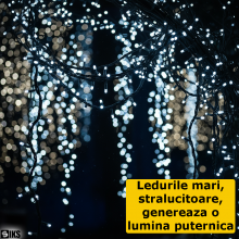 Instalatie De Craciun Liniara Led SIKS, 30 M, 300 LED-uri Mari Sidefate, Cu 8 jocuri de lumini, Pentru Exterior/Interior, Bra...