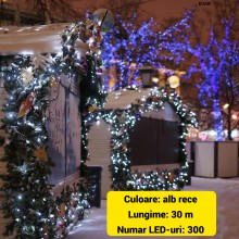 Instalatie Liniara de Craciun EDAR, 30 m, 300 LED-uri Mari Sidefate, Alb rece, 8 Jocuri de Lumini, Interconectabila, Pentru B...