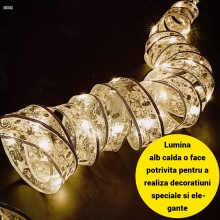 Instalatie Luminoasa Panglica Argintie EDAR pentru Brad de Craciun, 50 LED-uri, 5m, 8 Moduri, Lumina Alb Cald, Alimentare la ...