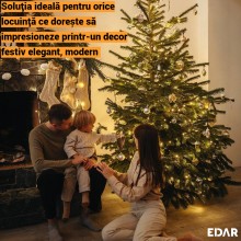 Instalatie Brad Craciun EDAR 400 LED, 32m, Alb Cald, 8 Functii, Fir Negru – Decor Interior De Sarbatoare