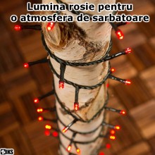 Instalatie De Craciun LED Liniara SIKS, Cu 100 De LED-uri, 8 Metri Lungime, Fir Verde Inchis, Rosu