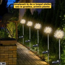 Set 2 x Lampa Solara Decorativa SIKS, Led, Model Papadie, Pentru Gradina Sau Terasa, IP65, Lumina Alb/Cald, Suport Metalic, N... Set 2 x Lampa Solara Decorativa SIKS, Led, Model Papadie, Pentru Gradina Sau Terasa, IP65, Lumina Alb/Cald, Suport Metalic, N...
