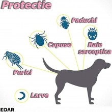 Zgarda Antiparazitara EDAR Pe Baza de Uleiuri din Plante, Fara Alergeni, Pentru Animale De Companie, Caini De Talie Mica Si P...