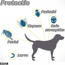 Zgarda Antiparazitara EDAR Pe Baza de Uleiuri din Plante, Fara Alergeni, Pentru Animale De Companie, Caini De Talie Mica Si P...