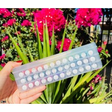 Set SIKS Markere Acrilice Scoala, 36 Piese Cu Varf Tip Pensula Soft, 36 De Culori Vibrante, Lavabile Si Non Toxice, Cutie Org...
