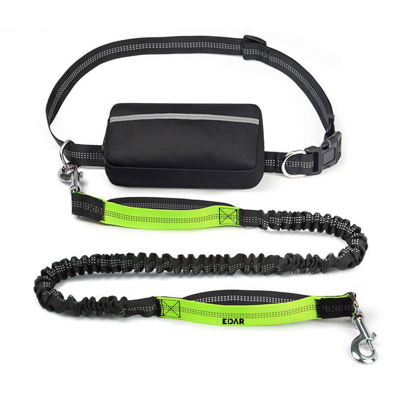 Lesa Elastica Bungee Pentru Caini EDAR, Tip Maini Libere, Pentru Jogging, Alergare si Plimbare, cu Centura si Borseta, Extens... Lesa Elastica Bungee Pentru Caini EDAR, Tip Maini Libere, Pentru Jogging, Alergare si Plimbare, cu Centura si Borseta, Extens...