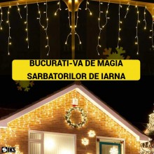 Instalatie Craciun Tip Turturi SIKS, 25 Metri, 600 Led-uri, Pentru Casa / Gradina / Gard, Cu 1 Joc De Lumini Si Efect FLASH, ...