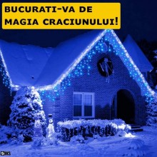 Instalatie Craciun Tip Turturi SIKS, 25 Metri, 600 Led-uri, Pentru Casa / Gradina / Gard, Cu 1 Joc De Lumini Si Efect FLASH, ...