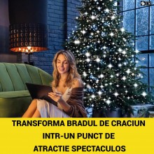 Instalatie Brad De Tip Cascada SIKS Cu Suport Pentru Varf, 400 LED-uri, 16 fire x 2 Metri Lungime, 8 Jocuri De Lumini, Pentru...