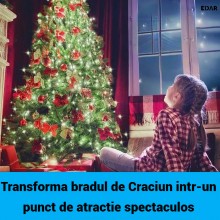 Instalatie Luminoasa de Craciun Tip Cascada EDAR, pentru Brad, 400 LED-uri Alb Rece, 16 Fire x 2 m, Suport pentru Varf, 8 Joc...