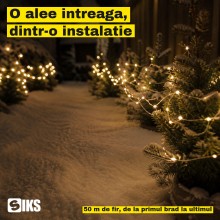 Instalatie De Craciun SIKS Fairy Light Pentru Interior / Exterior Sau Brad, 1000 Led-uri Culoare Alb Cald, Lungime 50 Metri, ... Instalatie De Craciun SIKS Fairy Light Pentru Interior / Exterior Sau Brad, 1000 Led-uri Culoare Alb Cald, Lungime 50 Metri, ...
