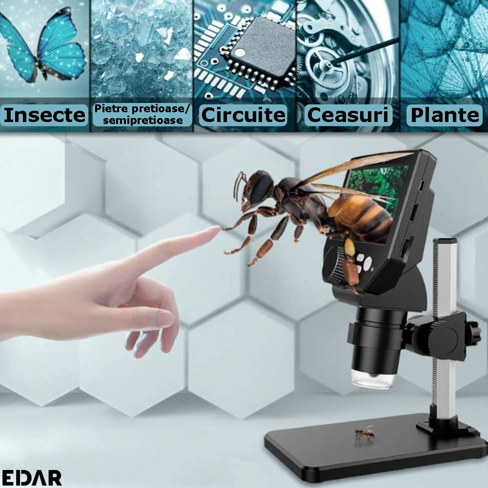 Observarea vietatilor sau obiectelor mici cu microscopul digital EDAR